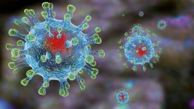 Иммунолог Жемчугов назвал невозможным одновременное заражение коронавирусом и гриппом - inforeactor.ru - Россия - Covid-19