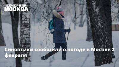 Синоптики сообщили о погоде в Москве 2 февраля - vm.ru - Москва - Московская обл.