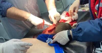 В Львовской области мужчине с четырьмя ножевыми ранениями отказались помогать в трех больницах - focus.ua - Украина - Львовская обл.