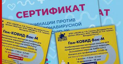 Мошенники начали продавать справки о вакцинации детей "Спутником М" - profile.ru - Россия