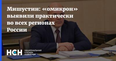 Михаил Мишустин - Мишустин: «омикрон» выявили практически во всех регионах России - nsn.fm - Россия