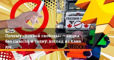 Почему «Конвой свободы»— акция без смысла итолку: взгляд изКанады - ridus.ru - Канада - Оттава
