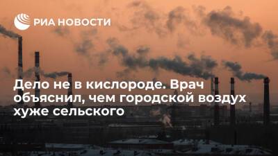 Пульмонолог Степанян: в городском воздухе содержится большое количество твердых частиц - ria.ru - Россия - Москва