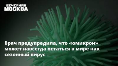 Татьяна Руженцова - Врач предупредила, что «омикрон» может навсегда остаться в мире как сезонный вирус - vm.ru - Москва - Норвегия