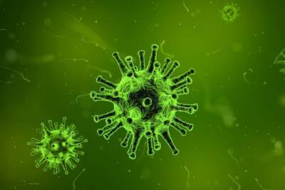 За неделю в Тульской области выявили более 14 тысяч случаев гриппа и ОРВИ - tula.mk.ru - Тульская обл.