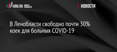В Ленобласти свободно почти 30% коек для больных COVID-19 - ivbg.ru - Ленобласть обл. - Украина - Covid-19