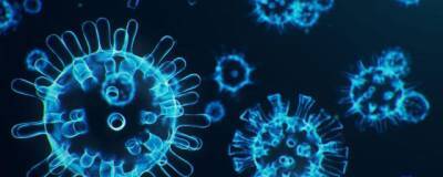 Ученый Куликов: Местом создания комбинаций вируса является ослабленный организм - runews24.ru - Англия