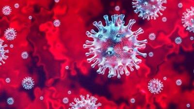 Петр Чумаков - Вирусолог объяснил, как коронавирус влияет на иммунитет - 5-tv.ru