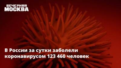 Владимир Зайцев - В России за сутки заболели коронавирусом 123 460 человек - vm.ru - Россия - Москва