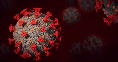 Дмитрий Рогозин - На МКС проведут эксперименты с белками коронавируса - ren.tv