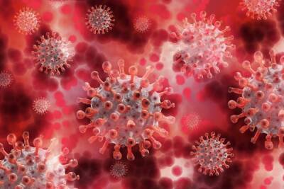 Прибор по обнаружению коронавируса создали в Китае - cheb.mk.ru - Россия - Китай - Пекин