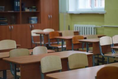 Почти 9 000 школьных классов В Петербурге перешли на удаленный формат обучения - abnews.ru - Санкт-Петербург