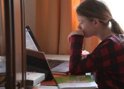 Дистанционное обучение ввели в 32 школах Владивостока - interfax-russia.ru - Приморье край - Владивосток