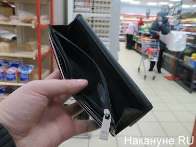 Почти четверть россиян столкнулись с задержкой зарплаты в период пандемии - nakanune.ru - Россия