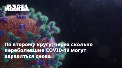 Максим Скулачев - По второму кругу: через сколько переболевшие COVID-19 могут заразиться снова - vm.ru - Москва