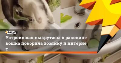 Устроившая выкрутасы враковине кошка покорила хозяйку иинтернет - ridus.ru