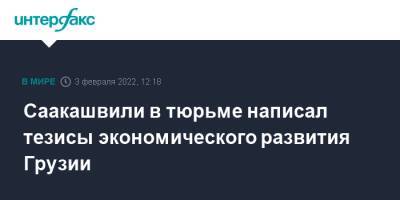 Михаил Саакашвили - Саакашвили в тюрьме написал тезисы экономического развития Грузии - interfax.ru - Москва - Грузия