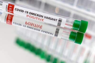 Денис Проценко - Проценко: омикрон-штамм коронавируса выявляют в 85% случаев - aif.ru - Covid-19