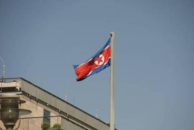 Раскрыто содержание секретного доклада ООН по Северной Корее - versia.ru - Сша - Кндр - Пхеньян