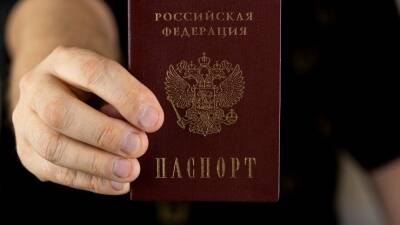 Имеют ли охранники и продавцы право проверять паспорт? — отвечают юристы - 5-tv.ru - Россия - Торговля