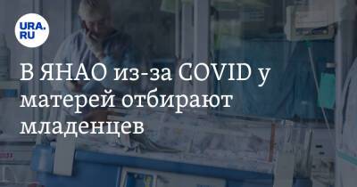 В ЯНАО из-за COVID у матерей отбирают младенцев - ura.news - Россия - округ Янао - Ноябрьск - Салехард