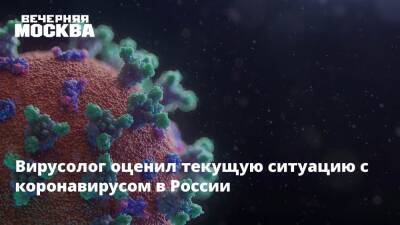 Александр Бутенко - Вирусолог оценил текущую ситуацию с коронавирусом в России - vm.ru - Россия