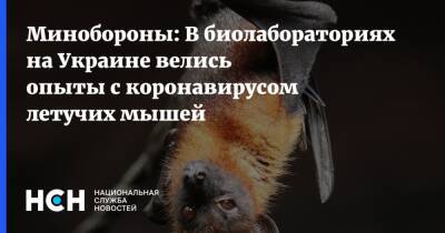 Игорь Конашенков - Сша - Минобороны: В биолабораториях на Украине велись опыты с коронавирусом летучих мышей - nsn.fm - Россия - Украина - Сша