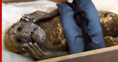 Япония - Ученые впервые проанализируют 300-летнюю "мумию русалки" - profile.ru - Япония