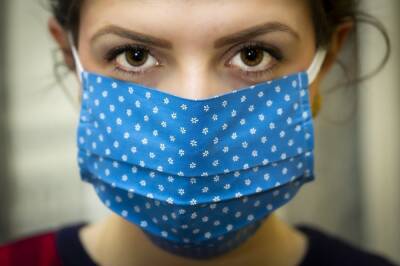 В рязанских больницах остаются 520 пациентов с коронавирусом - 7info.ru - Рязанская обл. - Covid-19