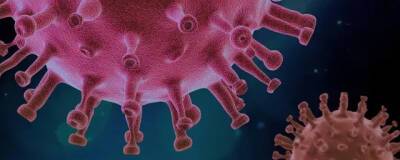 Вспышку коронавируса в Китае связывают со «стелс-омикроном» - runews24.ru - Китай - Шанхай - Шэньчжэнь