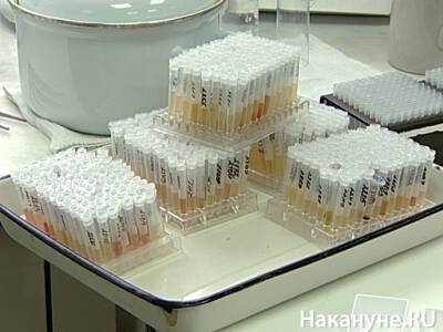 Бесплатную вакцину от энцефалита в Свердловскую область доставят к середине апреля - nakanune.ru - Свердловская обл.