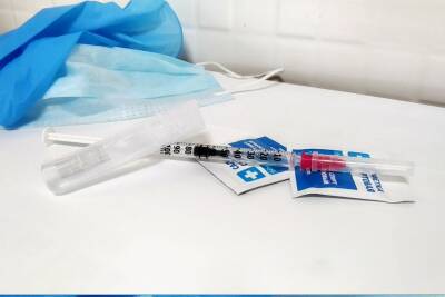 Разработана вакцина от сибирской язвы на основе вируса табачной мозаики - ufacitynews.ru - Пресс-Служба