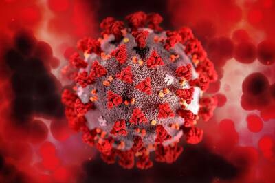 Минздрав Израиля сообщил об обнаружении нового варианта коронавируса - news.vse42.ru - Израиль