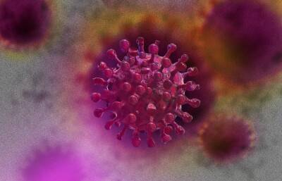 Обнаружен новый вариант коронавируса - afanasy.biz - Израиль