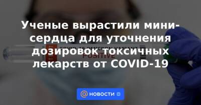 Павел Волчков - Ученые вырастили мини-сердца для уточнения дозировок токсичных лекарств от COVID-19 - news.mail.ru