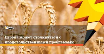Европа может столкнуться с продовольственными проблемами - ridus.ru - Россия - Украина - Сша - Китай - Индия - Нью-Йорк