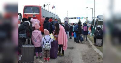 Що пропонують біженцям з України у різних країнах ЄС: житло, робота та соціальні гарантії - fakty.ua - Украина