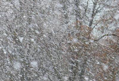 Днем четверга в Ленобласти ожидается снег - online47.ru - Ленобласть обл.