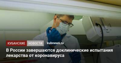 В России завершаются доклинические испытания лекарства от коронавируса - kubnews.ru - Россия