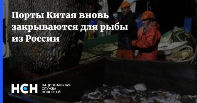 Порты Китая вновь закрываются для рыбы из России - nsn.fm - Россия - Украина - Сша - Китай