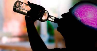 Сша - Ученые из США нашли связь между употреблением алкоголя и объемом мозга - ren.tv - Сша
