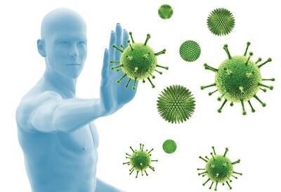 Пробиотики помогают бороться с коронавирусом - rusverlag.de