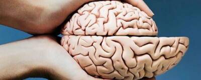 Британские учёные доказали, что перенесённый COVID-19 уменьшает объём головного мозга - runews24.ru