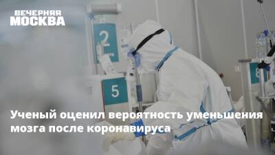 Николай Крючков - Ученый оценил вероятность уменьшения мозга после коронавируса - vm.ru