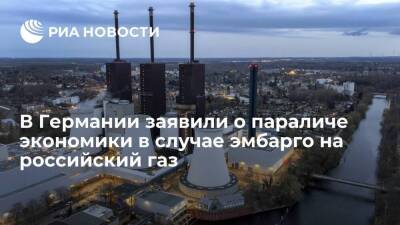 Deutschlandfunk: отказ от российского газа ударит по Германии сильнее коронавируса - smartmoney.one - Россия - Москва - Украина - Германия