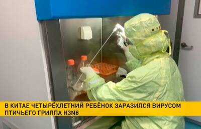 Первый случай заражения человека птичьим гриппом H3N8 зарегистрировали в Китае - ont.by - Белоруссия - Китай
