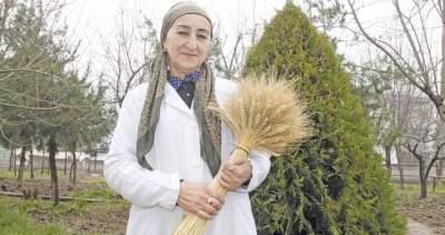 Зебинисо Ишанова - невидимый герой пшеничных полей - dialog.tj - Таджикистан