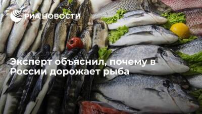 Эксперт Савельев объяснил рост цен на рыбу в России сокращением объемов ее экспорта - smartmoney.one - Россия