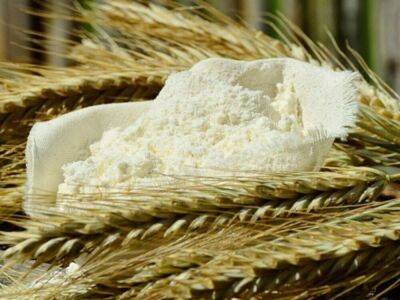 Эксперт Gro Intelligence: Мировых запасов пшеницы на складах осталось примерно на 10 недель - smartmoney.one - Россия - Украина - Пакистан - Индонезия - Шри Ланка