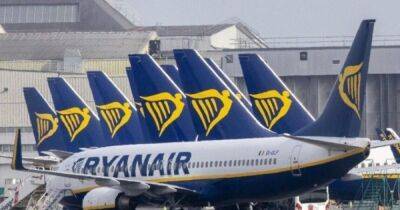 "Давай, согни колени". Ryanair нагрубил пассажирке в Твиттере - focus.ua - Украина